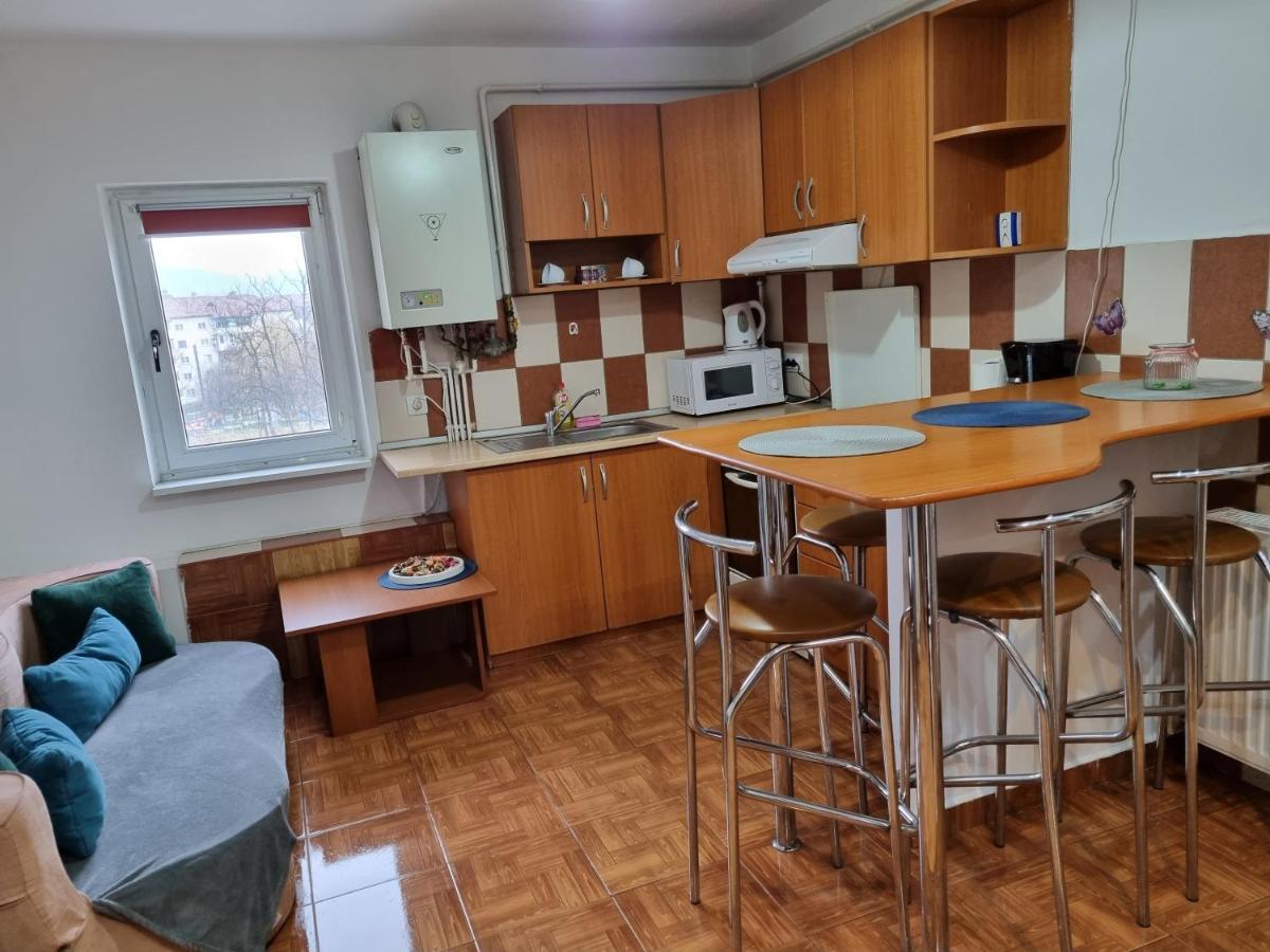 Appartamento Marya'S Râmnicu Vâlcea Esterno foto
