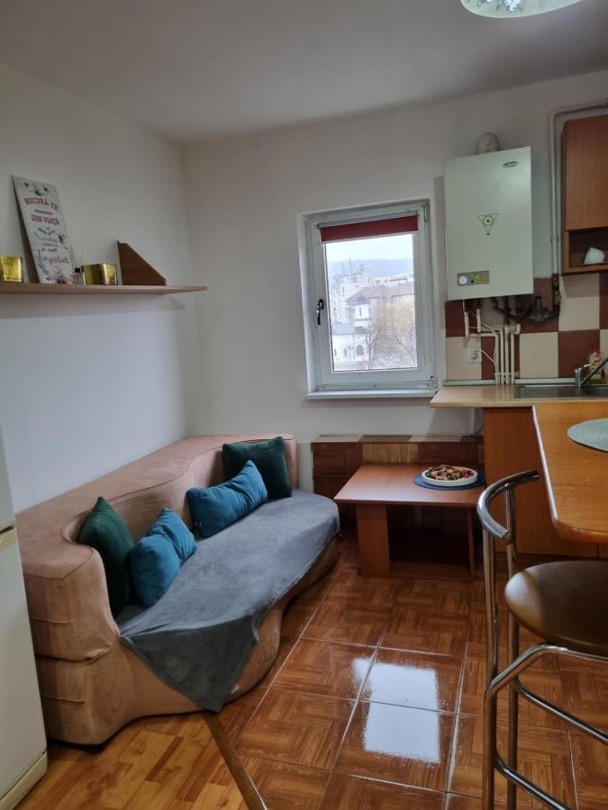 Appartamento Marya'S Râmnicu Vâlcea Esterno foto